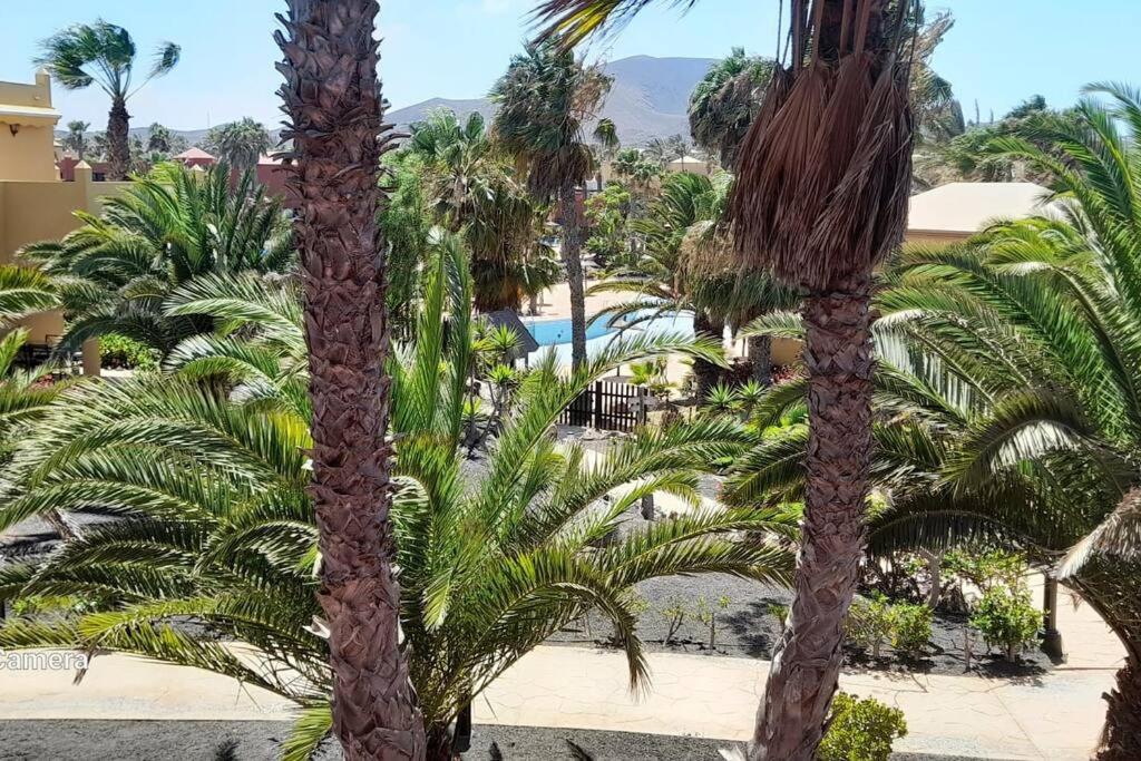 Apartment Cumbre Vieja Fuerteventura Коральео Экстерьер фото