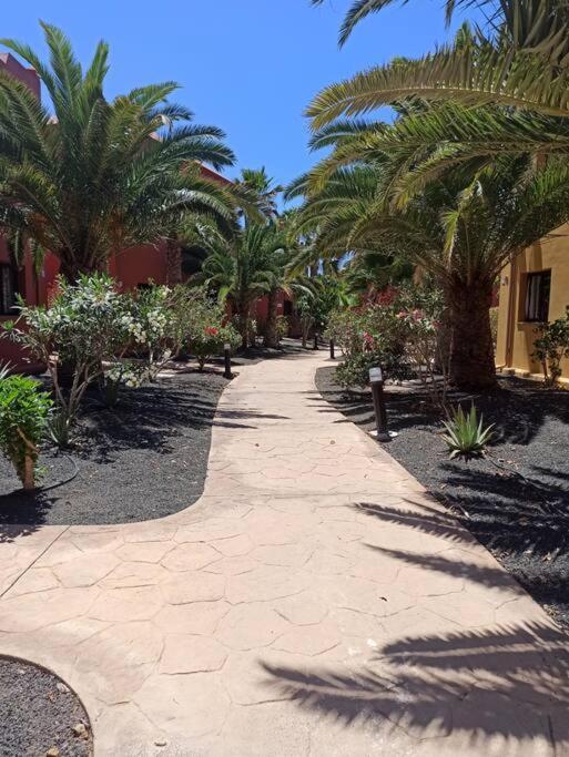 Apartment Cumbre Vieja Fuerteventura Коральео Экстерьер фото