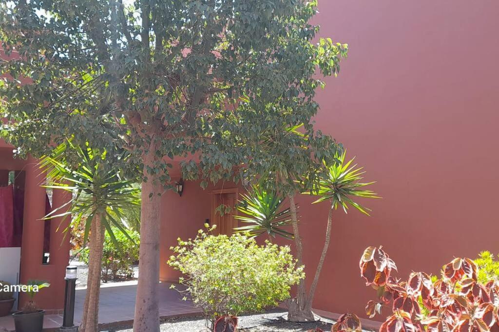 Apartment Cumbre Vieja Fuerteventura Коральео Экстерьер фото