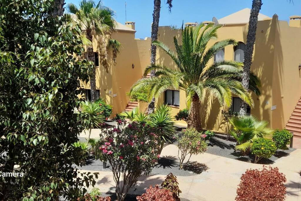 Apartment Cumbre Vieja Fuerteventura Коральео Экстерьер фото